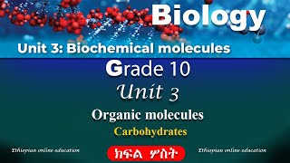 Biology grade 10 unit 3 part 3  Biochemical molecules  Organic molecules [upl. by Nina]