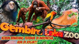 GEMBIRA LOKA ZOO YOGYAKARTA‼️ KEBUN BINATANG TERBAIK DI INDONESIA 2023  WISATA KELUARGA DI JOGJA‼️ [upl. by Eylk907]