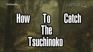 How To Catch The Tsuchinoko in Metal Gear Solid 3 [upl. by Nahtanaoj581]