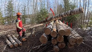 ATV Winch Powered Timber Trailer KranmanPart 2atv log hauler [upl. by Sheeran]