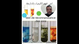 Test didentification des ions [upl. by Eustacia48]