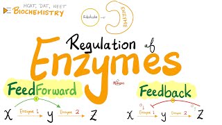 Feedforward amp Feedback Mechanisms  Positive amp Negative Feedback Regulation of Enzymes  Biochem [upl. by Anna-Diana]