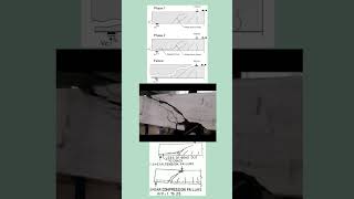 Shear Failure and Flexure Failure in Beamcivilengineering construction [upl. by Adekam]