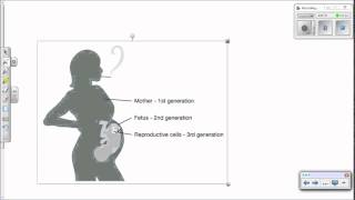 Gene control epigenetics operons RNAi and Stem Cells [upl. by Misab]