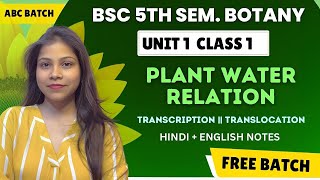 Plant water relation BSc 3rd year 5th semester paper 1 unit 1 in Hindi amp English 🔥💯 [upl. by Wilber123]