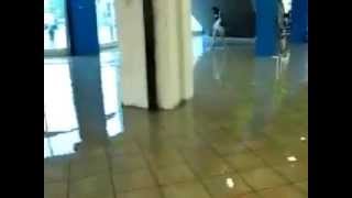 Flood at Trincity Mall [upl. by Enawd]