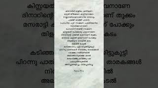 Habibi Drip💥dabzee songlyrics malayalamlyrics rapmusic trending shorts viralsong habibidrip [upl. by Kaspar]