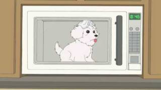 Dont feed a dog chocolate in a microwave wearing a foil hat [upl. by Nugesulo514]