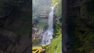 Giessbach Waterfalls  Switzerland 🇨🇭 switzerland nature [upl. by Martynne]