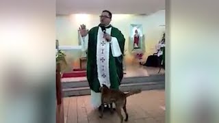 Hund belästigt Priester in der Kirche  die Reaktion ist erstaunlich [upl. by Garda108]