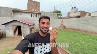 Hiran K Gly Main Darwaza Phans Gea😨Ab Kia Hoga Shehr Main Dihat Mini Vlog shehrmaindihat [upl. by Suolkcin]