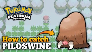 How To Catch Piloswine In Pokemon Platinum  Piloswine Location [upl. by Yeroc112]