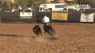 ASH National Show 2013  Open Campdraft [upl. by Valenba]