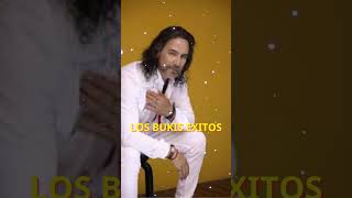 LOS BUKIS y ANTONIO SOLIS MIX 💞 Mi Ironia [upl. by Mosa]