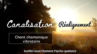 ✨Canalisation avec mon Chant chamanique 🪶 [upl. by Eneluj543]