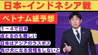 【海外の反応】ワールドカップアジア三次予選 日本対インドネシア 試合前のベトナムメディア等の報道 【2ch】 [upl. by Ailekat]