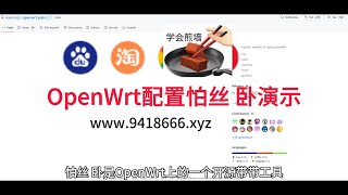 OpenWrt配置pass 卧演示 [upl. by Notsek]