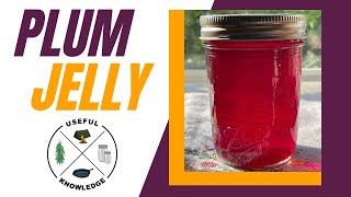 Plum Jelly  Useful Knowledge [upl. by Jonette551]