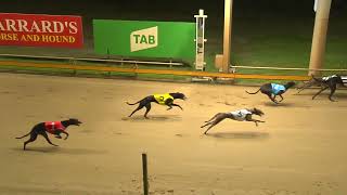 Rockhampton06112024Race2 [upl. by Anayrb]