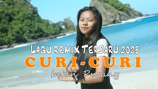 Lagu Remix Terbaru 2023CURICURIIntan Pusany [upl. by Cyb518]