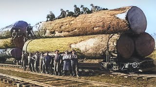 Log to Lumber  How American Lumber is Made [upl. by Adnawyek]