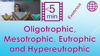 Trophic State Oligotrophic Mesotrophic Eutrophic and Hypereutrophic [upl. by Ettenav775]