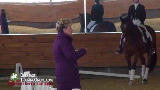 Dressage judging and training by Janet Foy Third Level Test 3 [upl. by Irme417]