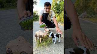 Rc Remote Control Camel 🐪 With Cow ki unboxing 🔥 [upl. by Lienad608]