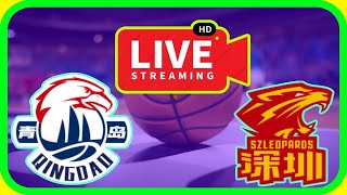 cba Round 9 Qingdao Eagles VS Shenzhen Leopards score details 121109 [upl. by Sirc895]