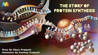 The Story Of Protein Synthesis [upl. by Arraek317]