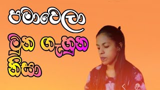 PAMAWELA MUNA GAHUNA NISA පමාවෙලා මුන ගැහුන නිසා  damith asanka coversong songscollection [upl. by Nylirret607]