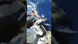 Marlin Fish discovery travel mauritius fishing [upl. by Suehtomit]