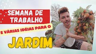 Como Deixo meu Jardim mais Lindo [upl. by Marillin]