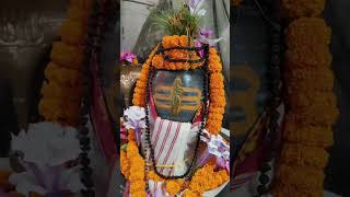 Lankeshwar mondir  এটি অতি মনোমোহা দৃশ্য 🙏🙏 [upl. by Allveta]