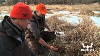 How to Trap Beaver and Muskrat with Steven Rinella  MeatEater [upl. by Zenobia662]