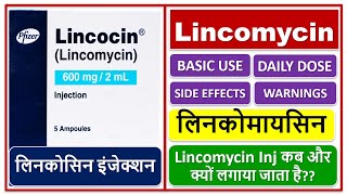 Lincomycin लिनकोसिन इंजेक्शन कब और क्यों लगाया जाता है लिनकोमायसिन Lincocin Use Dose Warnings [upl. by Lhadnek19]