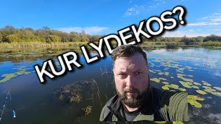 Kur lydekos [upl. by Inohs]