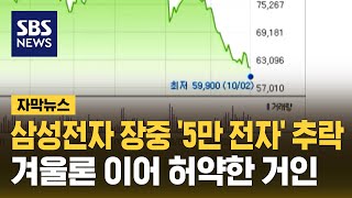 삼성전자 장중 5만 전자 추락…겨울론 이어 허약한 거인 자막뉴스  SBS [upl. by Niessuh]