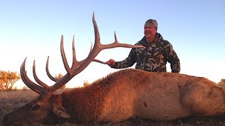 GIANT GILA BULL KILLED AT 360 YARDS [upl. by Vedis728]