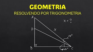 GEOMETRIA  TRIGONOMETRIA [upl. by Thacher711]