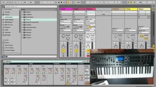 Ableton Preferences  Link MIDI [upl. by Enrique]