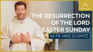 Easter Sunday The Resurrection of the Lord  Mass with Fr Mike Schmitz [upl. by Suiratnod763]