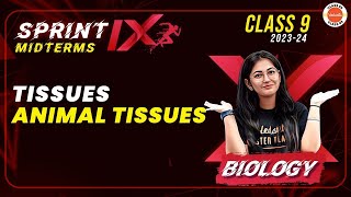 Sprint IX  Animal Tissues Most Important Questions  Tissues Class 9CBSE Class 9 Science Biology [upl. by Linette]