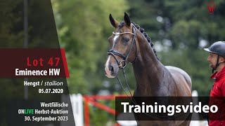 ONLIVE HerbstAuktion Trainingsvideo Lot 47 Eminence HW Hengst v Escamillo  Dimaggio [upl. by Bradly]