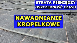 Nawadnianie Kropelkowe to Strata Pieniędzy Plusy Minusy Montaż Nawadniania Kropelkowego Jak Zrobić [upl. by Weinberg508]