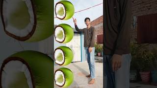 Rounding cut green coconuts to crow pigeon parrot amp peacock Birds names magic video [upl. by Nner]