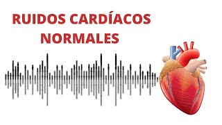 AUSCULTACIÓN CARDÍACA ruidos normales del corazón r1r2  s1s2 [upl. by Riay]