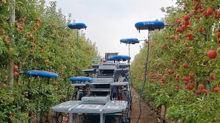 Israel enlists drones AI and big data to farm for the future  AFP [upl. by Dasya]