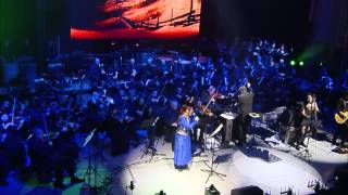 The Dark Knight  Hans Zimmer J Newton Howard  LIVE [upl. by Dal]