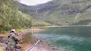 Fishing in a lovely fjord and catching lots of fish [upl. by Nivak747]